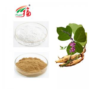 China Kudzu Root Extract 40% 60% 80% 98% Puerarin Water Soluble Product on sale
