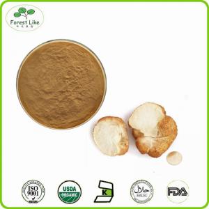  Hot Selling Dried Reishi Mushroom Extract Ganoderma Manufactures
