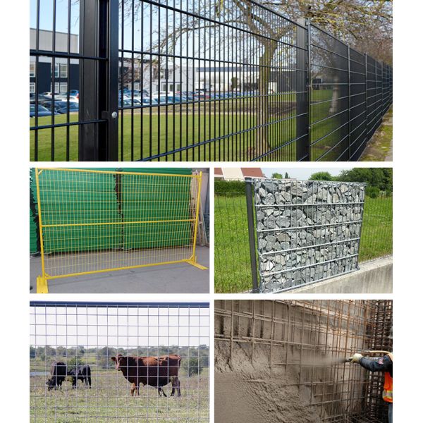 Low Carbon Steel Q195 Galvanized / PVC Coated Wire Mesh Panel for Fencing Solutions