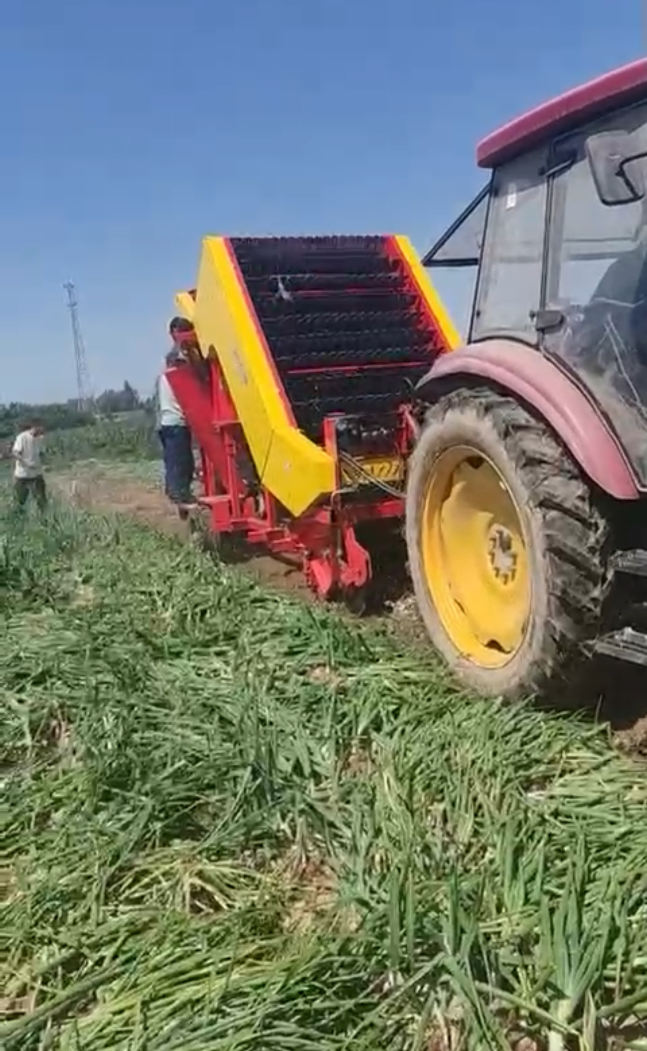 onion harvesting machine harvester