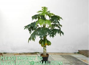 China Artificial Trees for Home Decor Plants Large Artificial Tree Branch Green Leaves Real Touch Fake Papaya Tree on sale
