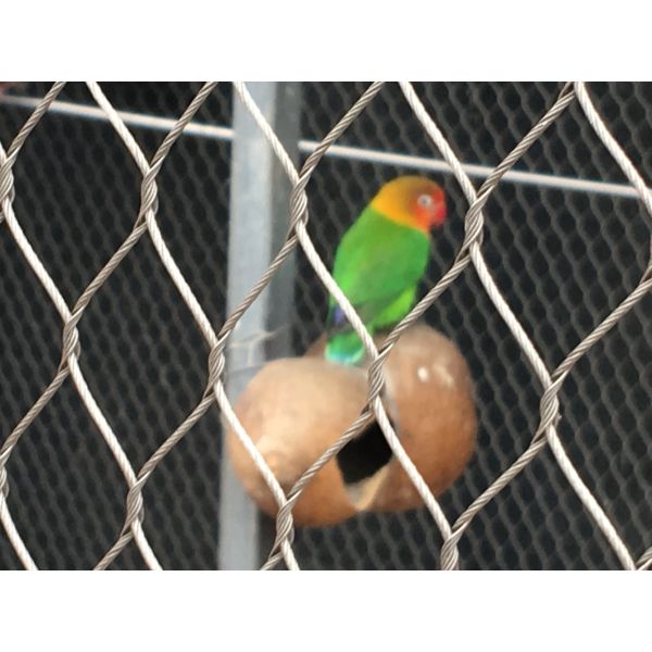 Knotted Poultry / Zoo Aviary Netting High Strength Rope Net 1.2-2.0mm Wire Thickness