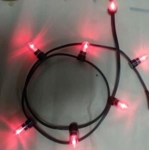  12v low power led clip light 100m/roll christmas lights led string Lights red rice strings 666 bulbs Manufactures