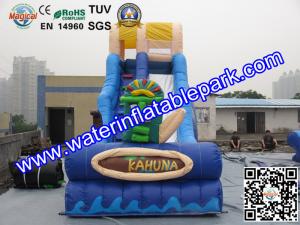  Largest Inflatable Bouncy Slide Rentals For Water Sport Games Manufactures