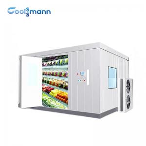  Commercial Cold Room Freezer Container For Frozen Vegetable And Fish Seafood Manufactures