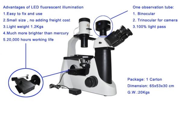 Quality Inverted fluorescent microscope in LED light source for sale