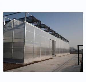 China Strong Resistance Multi Span Venlo PC Sheet Greenhouse Arch Polycarbonate Greenhouse on sale
