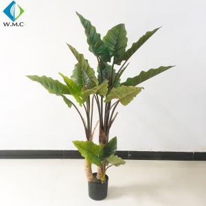  Taro Leaves Plastic Bonsai Plants , Nordic Style Fake Banana Tree R020022 Manufactures