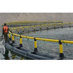 Fish Farming Floating Net Cages Round Square Shape Diameter 10m-40m