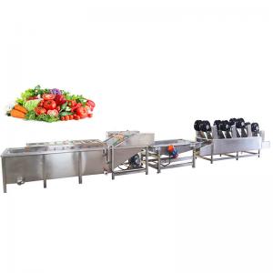  TCA Fruit And Vegetables IQF Freezing Line Frozen Vegetable Green Bean Sweet Corn Production Line Manufactures