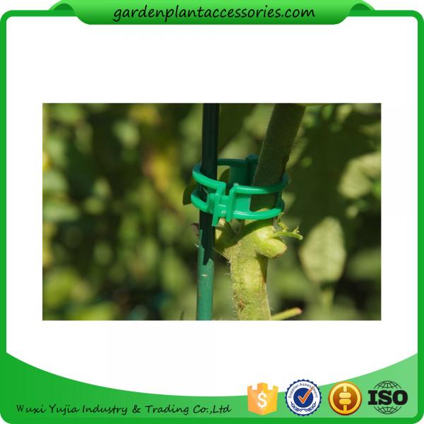 Quality Colorful Garden Plant Accessories Plastic Garden Plant Clips / Plant Support Clips 45*40*50 Colorful for sale