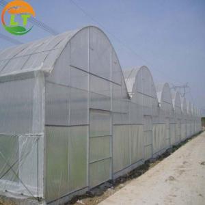  Double Layer Anti Insect Net for Agriculture Greenhouses Cover Plastic Film Effective Manufactures