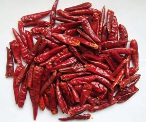  Dried Chilli Manufactures