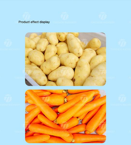 Brush Potato Washing And Peeling Machine SS Commercial Vegetable Sealing Cover Type