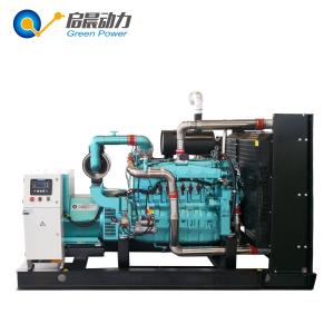 China Back up Gas Generator Green Power Propane Generator for Sale on sale