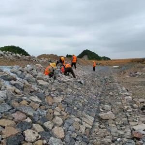  1*1*2M Galvanized Gabion Stone Cage Net Customized Riverbank Erosion Protection Manufactures