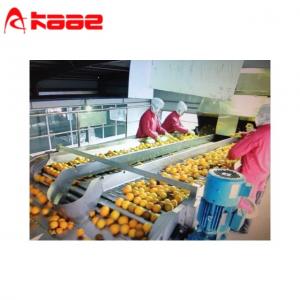  Sorting Roller Conveyor Automatic Apple Grading Machine Roller Sorting Machine Manufactures