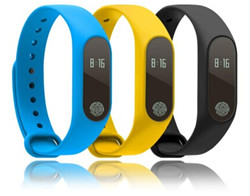 Bracelet with OLED LCD display, embedded Battery, Bluetooth low energy, Calories measurement and pedometer etc.
