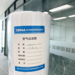 Medical PTFE Membrane Hydrophobic 0.1μm Pore Size Polytetrafluoroethylene Filter