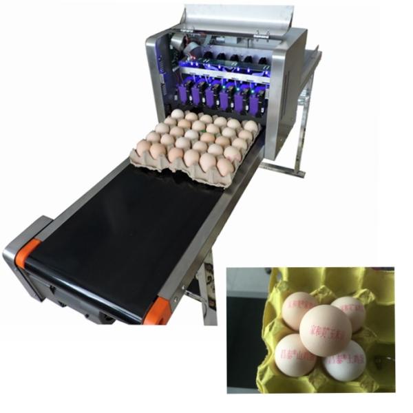 12V Automatic Batch Printing Machine Six Cartridge Can Print 1200,000 Eggs