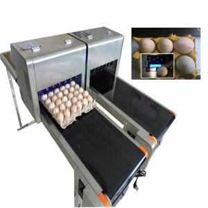 Digital Egg Batch Coding Machine / Inkjet Coding Machine For Effective Date