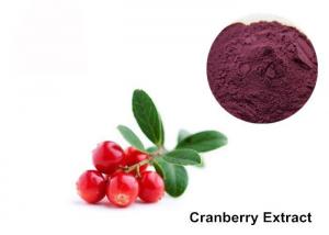 China Cranberry Fruit Purple Red 25% Anthocyanin Extract Powder on sale
