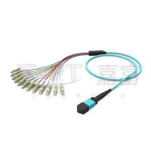 Buy cheap 12 Cores MPO To LC Breakout Multimode Patch Cord OM1 OM2 OM3 OM4 OM5 0.9mm from wholesalers