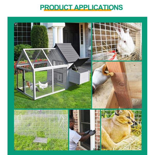 Factory Direct Supply Cheap Price Steel Matting Galvanized Welded Wire Mesh Bird Cages Welded Wire Mesh In 12 Gauge