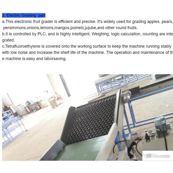 automatic fruit apple washing and waxing and sorting macine fruit sorting machine