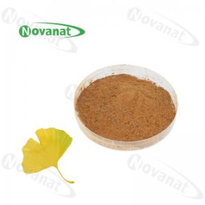  100% Nature Gingko Biloba Leaf Extract Powder/USP/E.P/CP15/Dietary Supplements Ingredients Manufactures