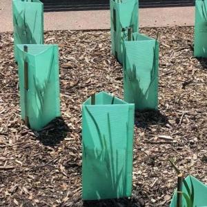 China 3mm Green Plastic Corflute Tree Guards UV Protector Waterproof on sale