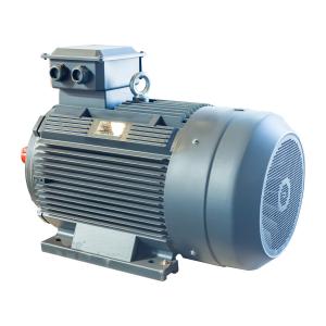China Three Phase Squirrel Cage Induction Motor Energy Saving 0.75KW To 355KW on sale