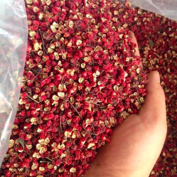 Intelligent Crops Pepper Sorting Machine 2kw With Color CCD Sensor