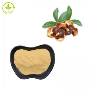  Tea Seed Extract Natural Saponin Powder 90% For Cosmetic Manufactures