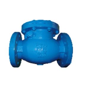  BS 5153 Standard Flanged Swing Check Valve Blue PN16 Cast Iron Manufactures