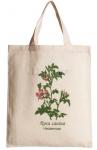 Wholesale Handle Tote Fashion Ladies Hand Canvas Cotton Bag,simple fashion