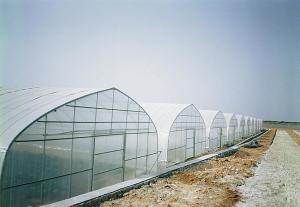  Simply Structure Single Tunnel Greenhouse Dustproof Anti Mildew With Insect Net Available Manufactures
