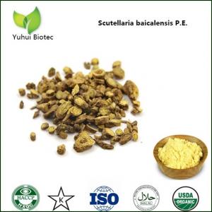  baicalin 85%,pure natural baicalin,baikal skullcap extract baicalin,98% baicalin Manufactures