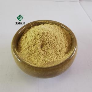 China 98% Bulk Luteolin Powder Natural Herbal Extract For Medicine 491-70-3 on sale