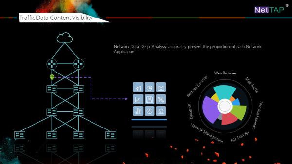 NetTAP® MATRIX NetInsight™ Network Traffic Data Visibility of Traffic Data