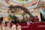 Artificial Simulation Complete Dinosaur Fossil Model Customization Support