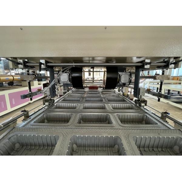 Biscuit Tray Automatic Blister Machine Forming Fast Food Box Making Machine