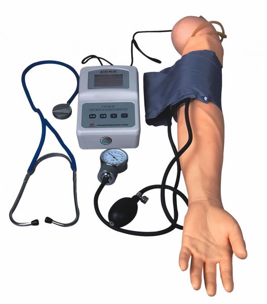 Quality BP Measurement Arm With Exercise Blood Pressure model For Medical Colleges And Schools for sale