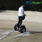 Off Road 2 Wheel Electric Scooter Personal Transportation Vehicles Self