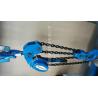 Buy cheap Ce Standard Electrical Cable Pulling Tools 10KN Chain Type Handle Hoist from wholesalers