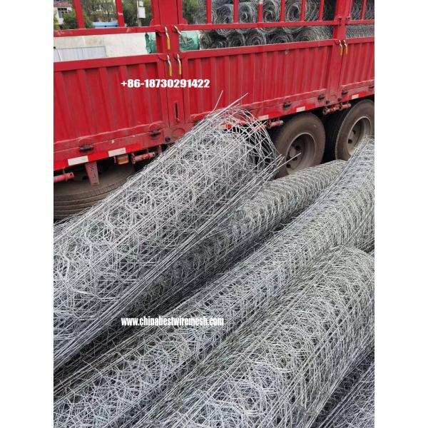 Galvanized reinforced hexagonal mesh asphalt pavement subgrade
