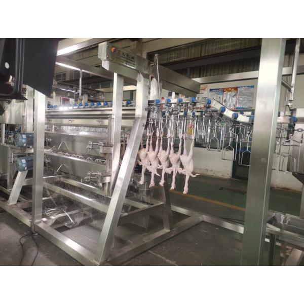 200BPH 300BPH 500BPH Automatic Kill Cutting Goose Duck Chicken Abattoir Slaughtering Processing Line Machine System