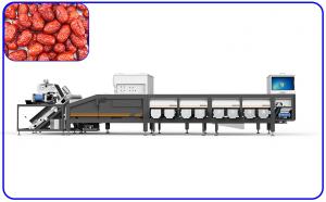 China Precise Red Dates Sorting Machine 380V Stainless Steel 1 T/H Intelligent on sale