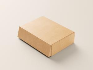  Brown Paper E Flute Corrugated Box Customize Logo Manufactures