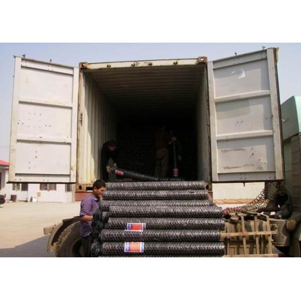 Poultry Fence 50mm BWG19 Reverse Twisted Hexagon Metal Mesh